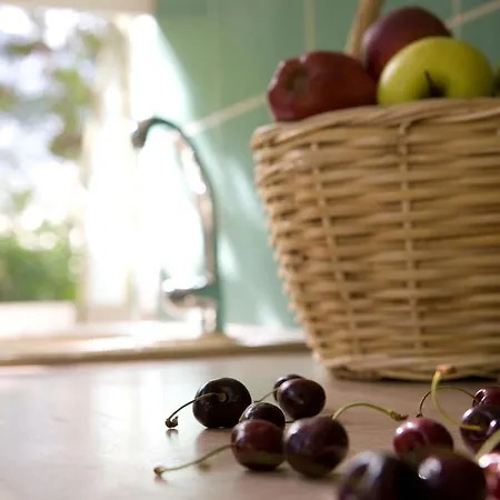 Isalos ゲストハウス ヴァシリキ